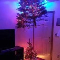 Cool Christmas tree idea