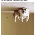 commented item thumbnail