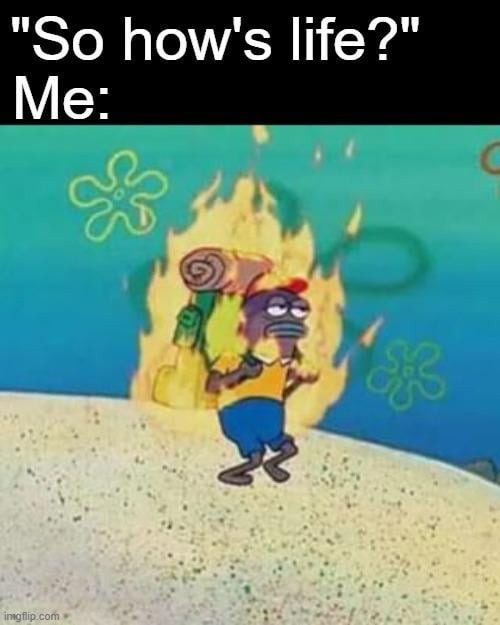 How's life? - meme