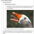 Ducks Are Satanic