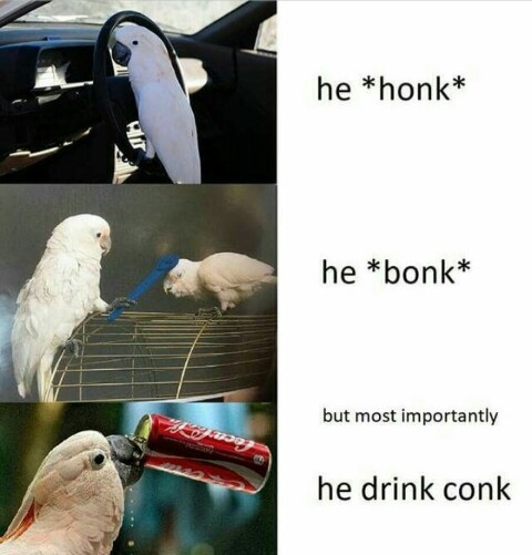 Conkacola - meme