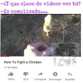 El titulo aprendió y se fue a pelear con una gallina