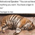 The tiger in me is dummy thick