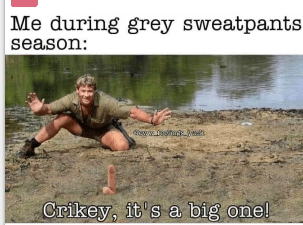 Gray sweatpants season - meme