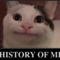 the history of memes