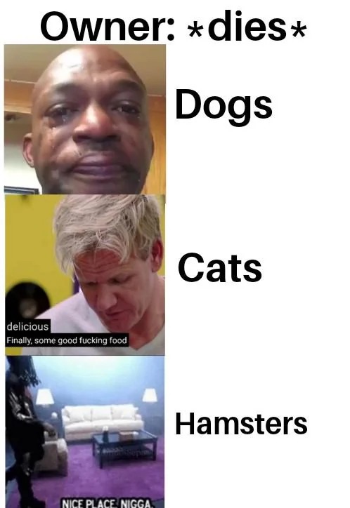 Hamster when their owner dies - meme