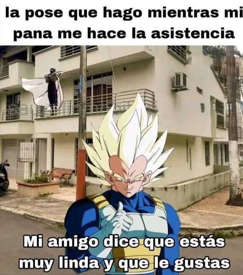 La pose que me echo cuando mi bro me hace de wingman - meme