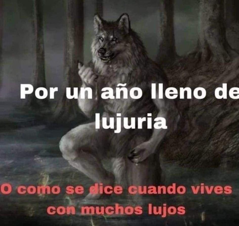 Por un año lleno de lujuria... o lujo, lo que venga primero - meme