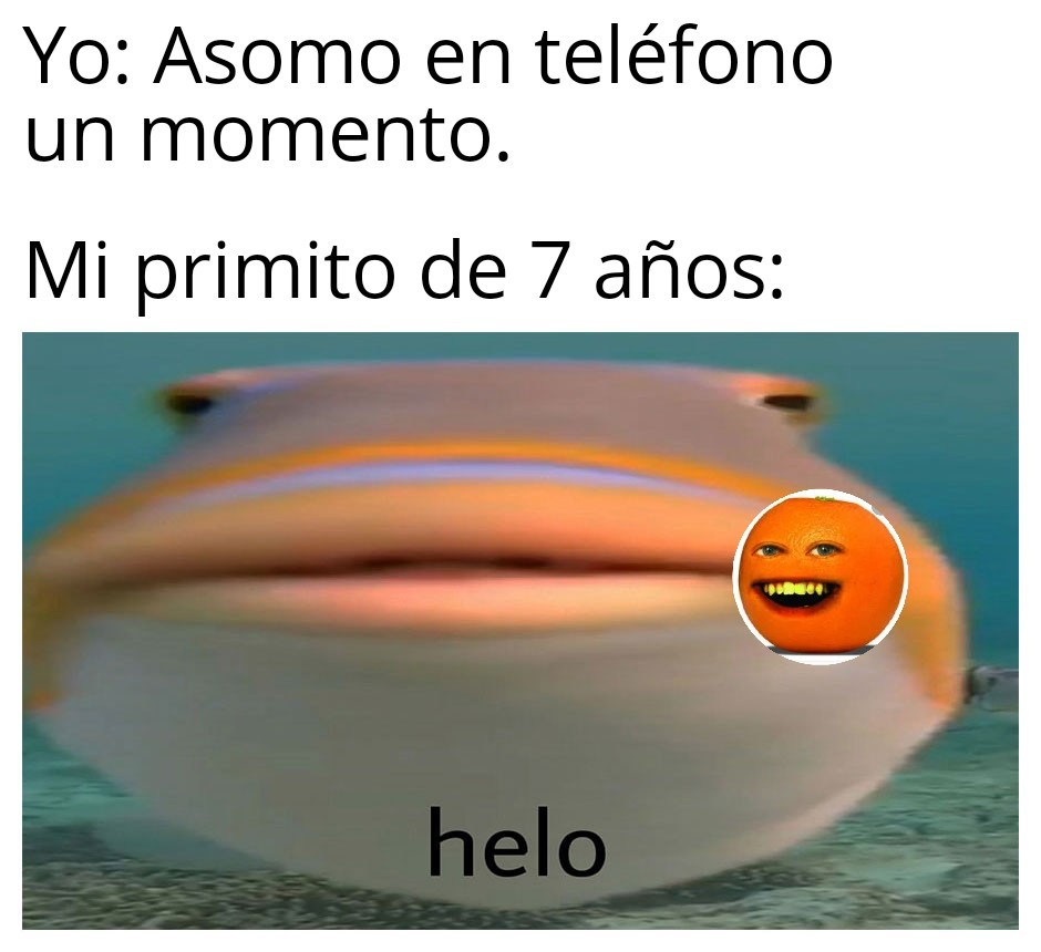Helo - meme