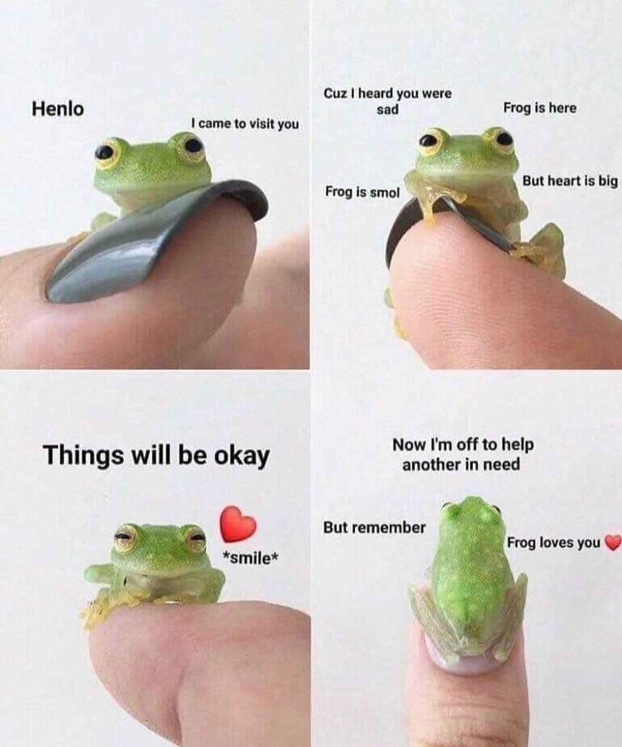 Nice frog - meme