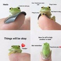 Nice frog