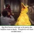 Big Bird, big appetite