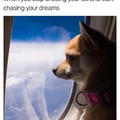Chasing your dreams