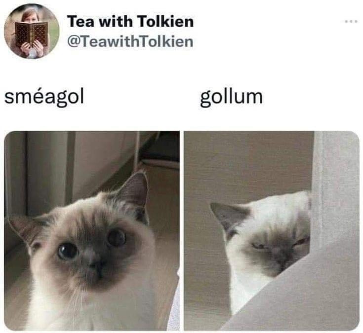 Meowagorn - meme