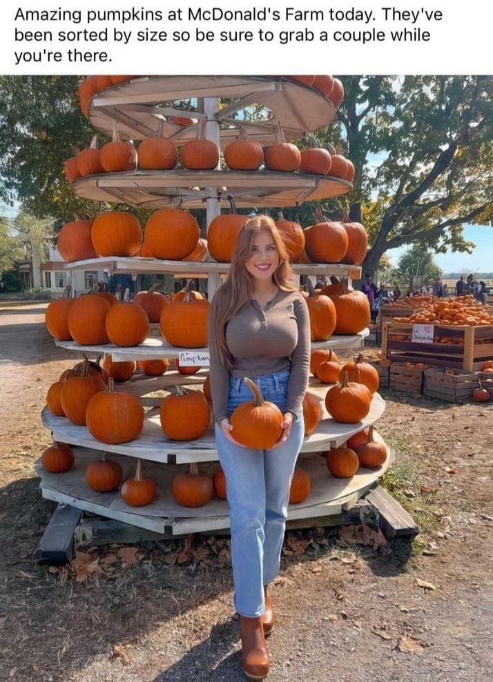 Pumpkins at McDonald's Farm got sorted like Hogwarts houses - meme