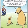 Wise doggo teaching small pupper