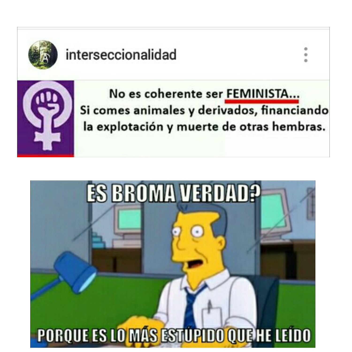 Feminazis Everywhere Meme By TROLL 5 Memedroid