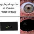 Esas cosas nunca pasan