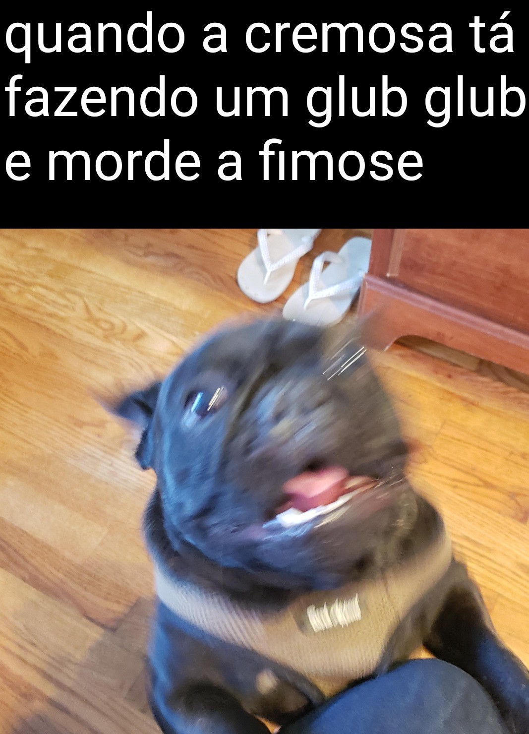 Fimose - meme