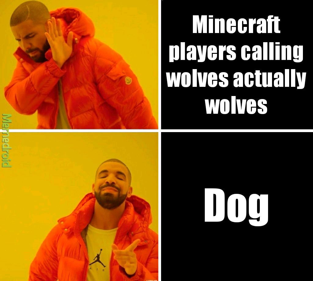 Minecraft players be like - meme