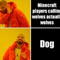 Minecraft players be like