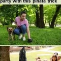 Pinata trick