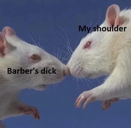 Barber experience - meme