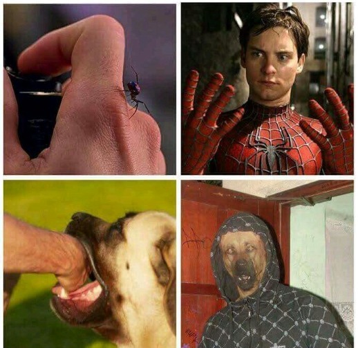 Hehe - meme