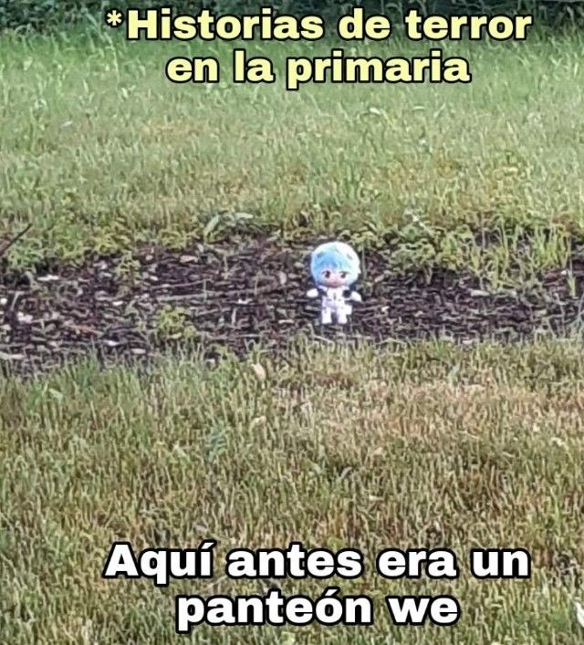 Aceptenlo porfa - meme