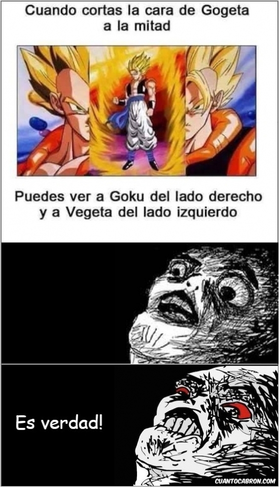 Vegeta/Goku - meme