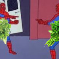 yo soy cilantro no yos soy cilantro