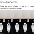 15 dudes can easily pee there