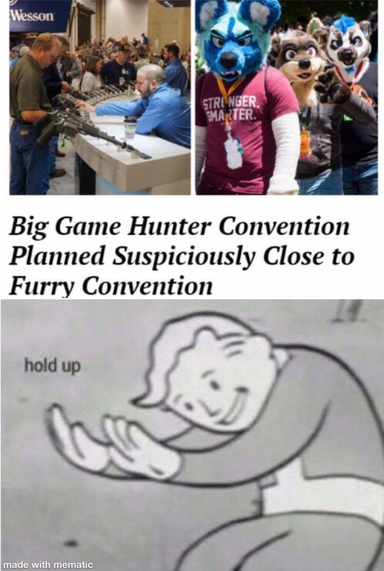 not furry - Meme by besterminer :) Memedroid