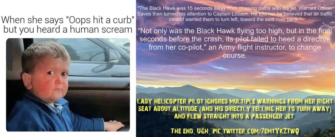 The third pilot’s name, Rebecca Lobach, was finally released three days after the crash so they could scrub her social media. - meme