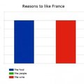 Les raisons d'aimer la France 