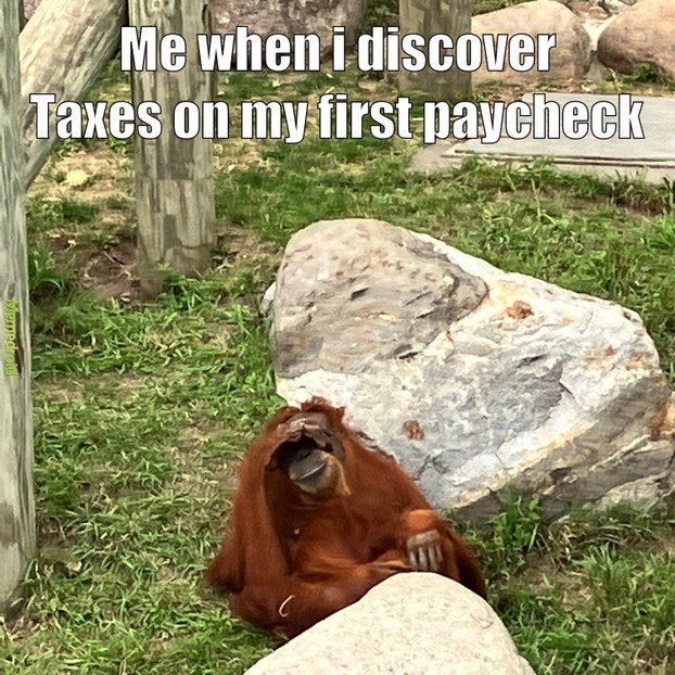 taxes suck - meme