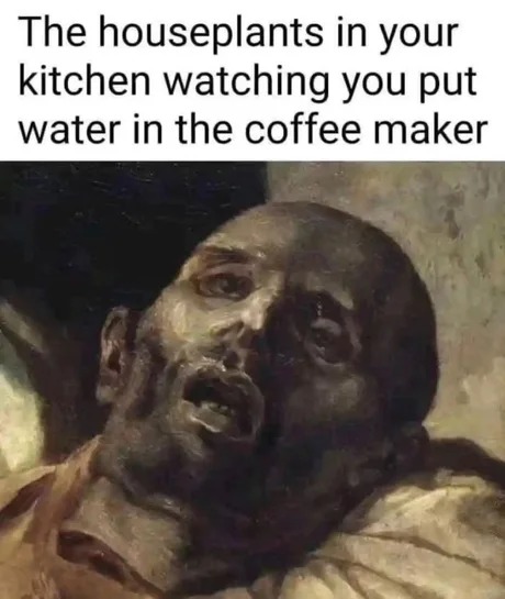 Coffee maker before houseplants? - meme