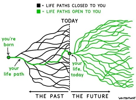 Life paths open to you - meme