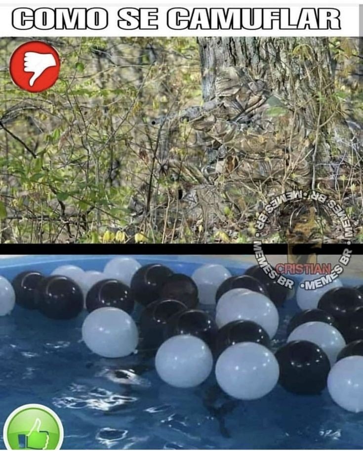 Camuflagem - meme