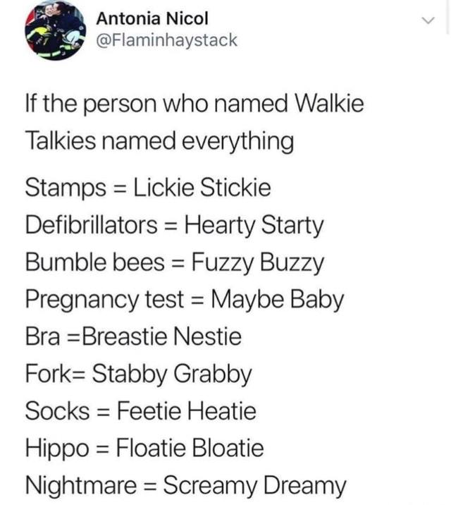 If the person who named Walkie Talkies named everything - meme