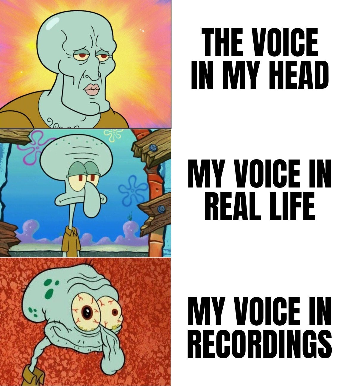 I hate how my voice sounds irl - meme