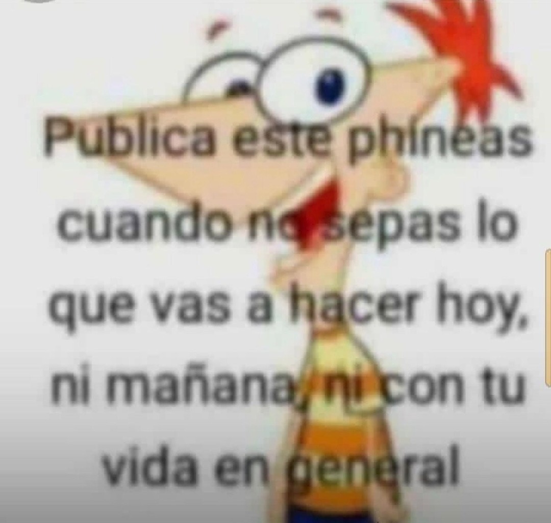 Publica este phineas si te sientes así - meme