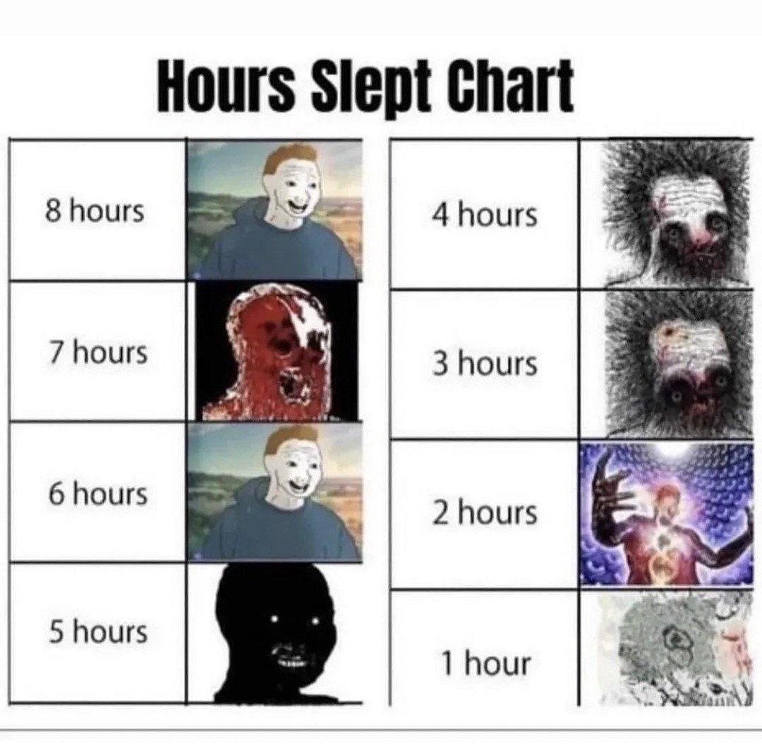 sleep hours: decreasing like my will to exist - meme