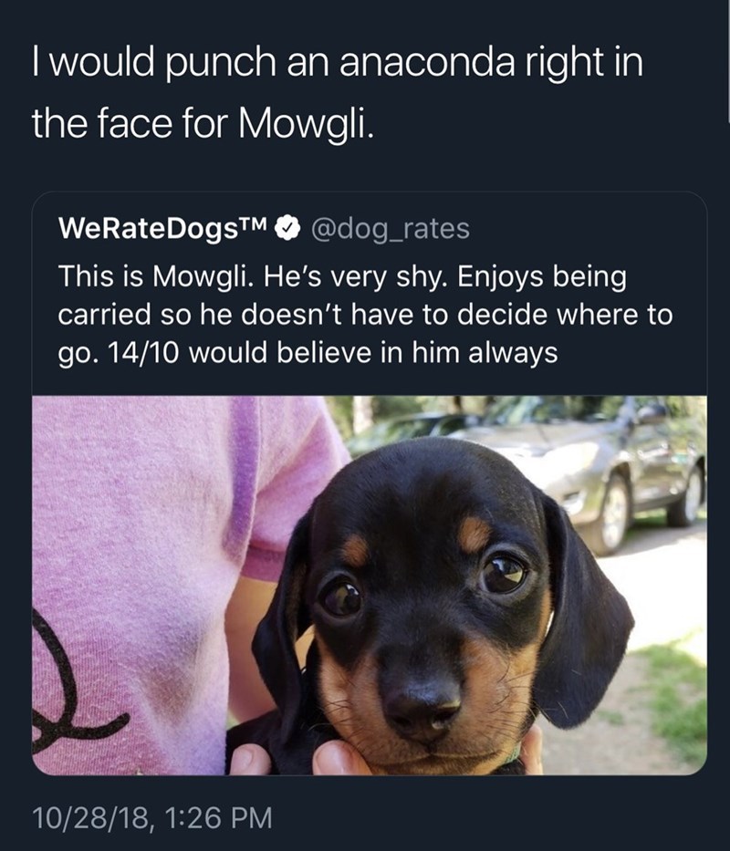 Mowgli's the man - meme