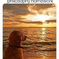 Doggo philosopho