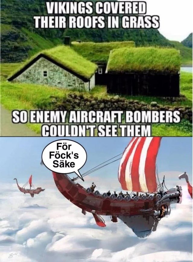 vikings knew their thing - meme