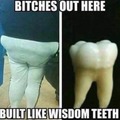 Wisdom teeth