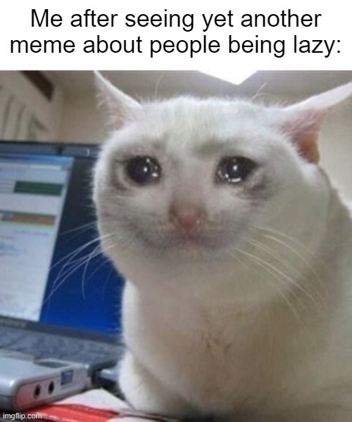 crying in my laziness - meme