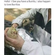 I love burrito - meme