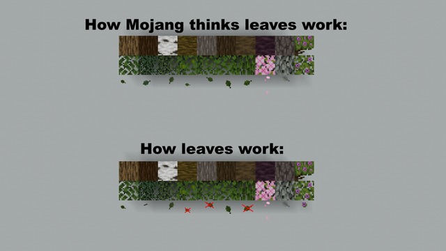 How Minecraft leaves work - meme